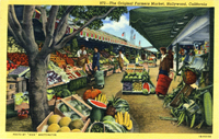 Hollywood Farmer's Market