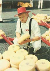 cheese in the Netherlands