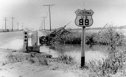 Along the Grapevine. 